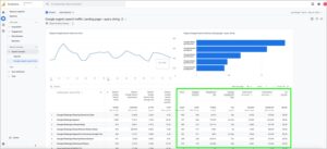 Google Organic Search - Landing Page